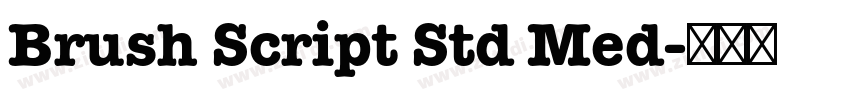 Brush Script Std Med字体转换